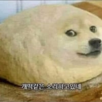 개떡같은소리하고있네