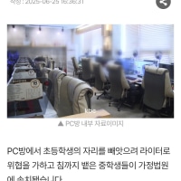 이쯤되면 진짜 촉법소년 손좀 봐야하지 않나