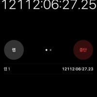옵붕이 기네스북 가능하냐