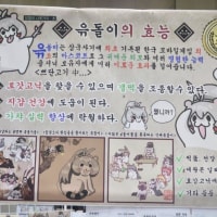 갤떡을 조종하는 윾돌이의 힘!!!