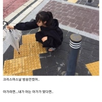 [고전] 내가 아는 아가는 사라졌어