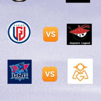 데마시아컵 본선 일정