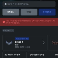 실버 대리 버스충
