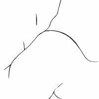 Doodle