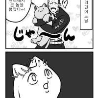 죠죠) 오쿠야스와 고양이풀