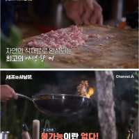 흑백요리사 에드워드 리가 야생 정글에서 만든 요리 퀄리티 ㄷㄷ