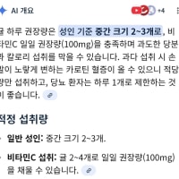 귤 하루 권장 섭취량