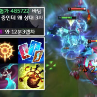 다재다능 영겁 나보리 볼리베어의 추억