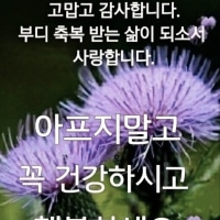 옵지에 사람많은김에