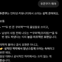 챗지피티 피셜 두쫀쿠의 뜻