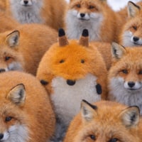 ???:우리중에 스파이가 있데