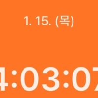 공약 일일결산 3일차~