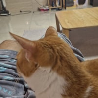 이게 성공이지 ㅋㅋ