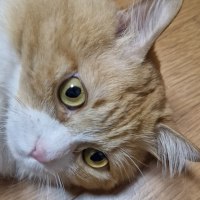 리눅스 왤케빡세