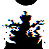 오늘은 로쿠토 없어요