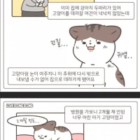 가게 주방 싱크대에서 구조된 고양이.jpg