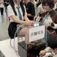 ㅅㅂ 아니지,,,?