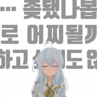 내일이 운전면허 시험인데