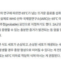 얼죽아가 정답인 이유