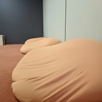 의???자