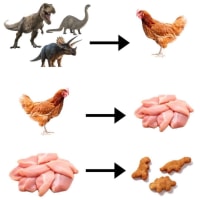 진화는 돌고 돌아