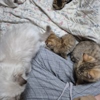 점점 늘어나는 것 같은데