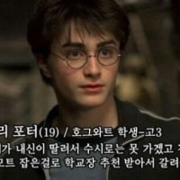 해리포터는 대학을 어떻게 갈까?