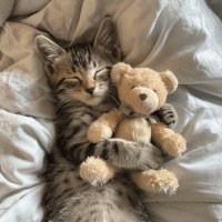 움직여야 하는데