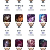 나 챔피언 숙련도 어떤 것 같음