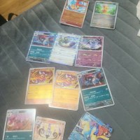 옵붕이 포켓몬 카드 보고가라