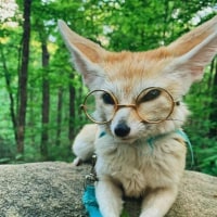 오늘 좀 갓생 산듯