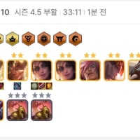 10행운 터트렸는데 이거 뭐냐