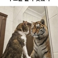 내가 샤워하면서 늘 하는 생각