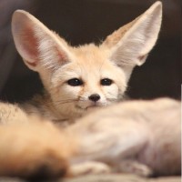 여러분들에게 할말 있습니다.