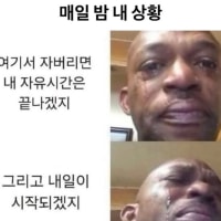 지금 내상황