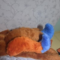 오 나르꼬리왔다