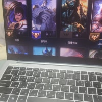 Anyone know how to fix this LoL screen bug?