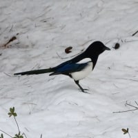 사는 건 왜 고통스러울까