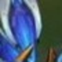 이거 나만 얼심처럼 보임?