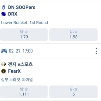 플옵 배당률