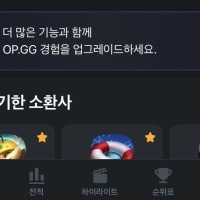 wait i updated OP.GG and why is the community gone