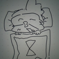gn op.gg bros