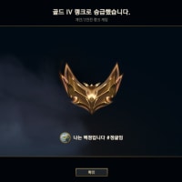 옵붕이 드디어 골드는 찍었다