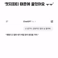 쳇지피티 때문에 울었어 ㅠ