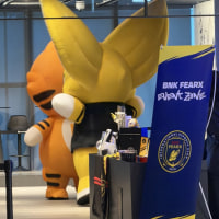 결승 상대 넥스 딱대라 십련