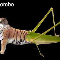 가면라이더 보는중인데