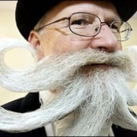 인간별 콧수염 반응