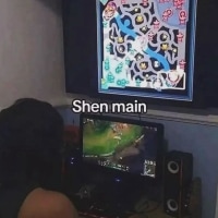 쉔 유저 평균인가요?