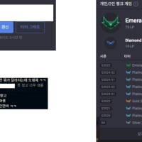 현지인 기준은 도대체 무엇일까