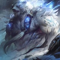 볼리베어 좋아하는 이유